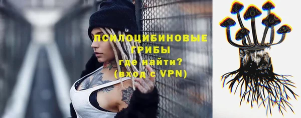 сатива Волосово